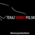 Konie szlachetne