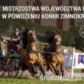 Konie szlachetne