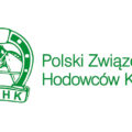Konie szlachetne