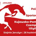 Konie szlachetne