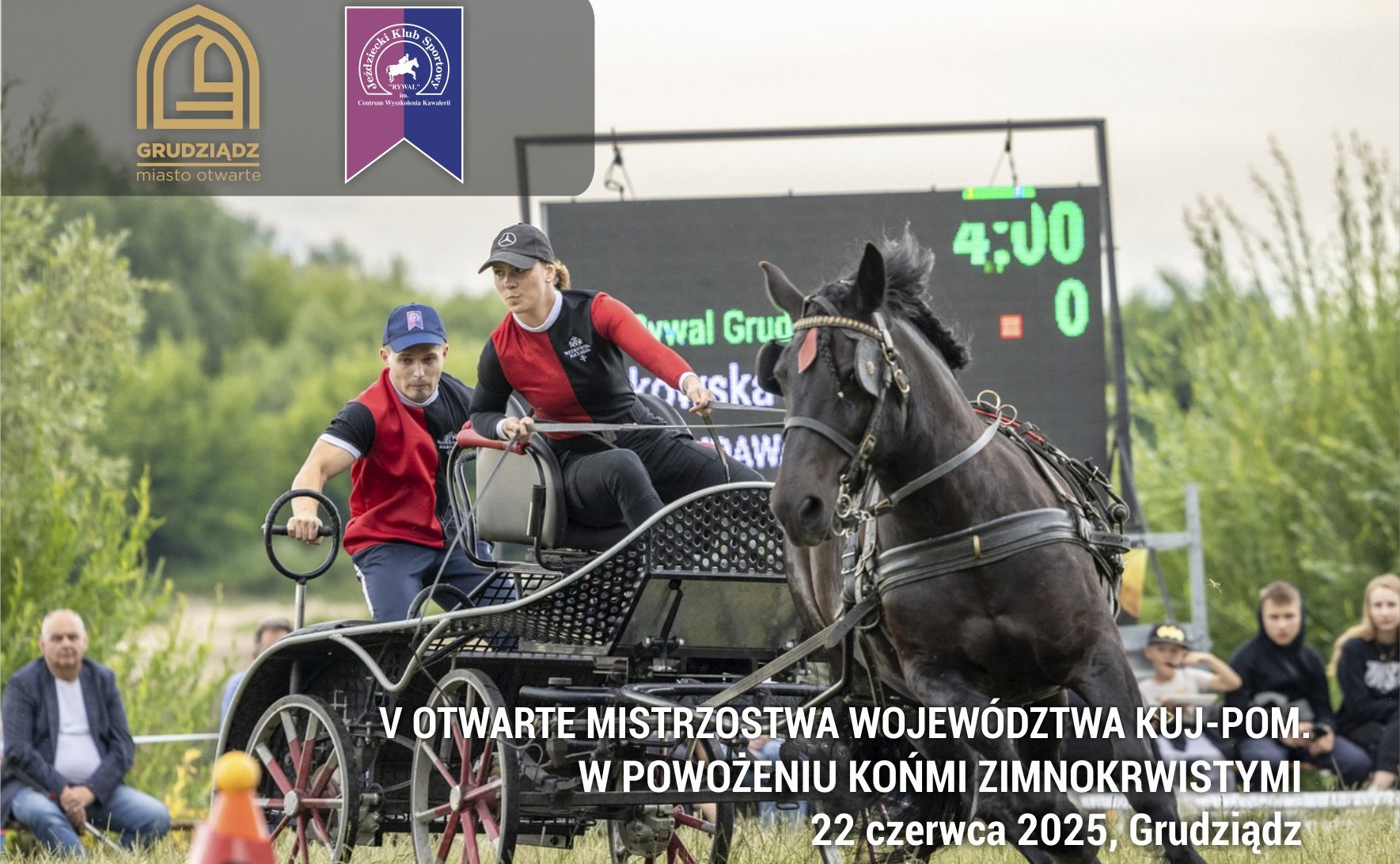 Konie szlachetne