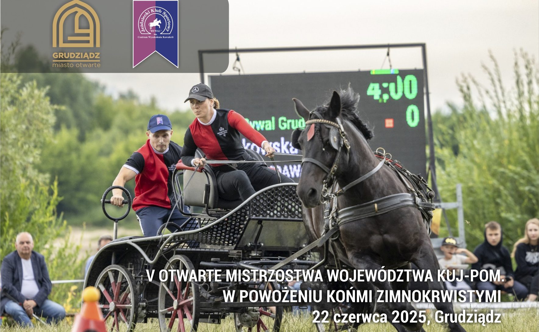 Konie szlachetne