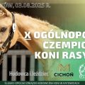Konie szlachetne