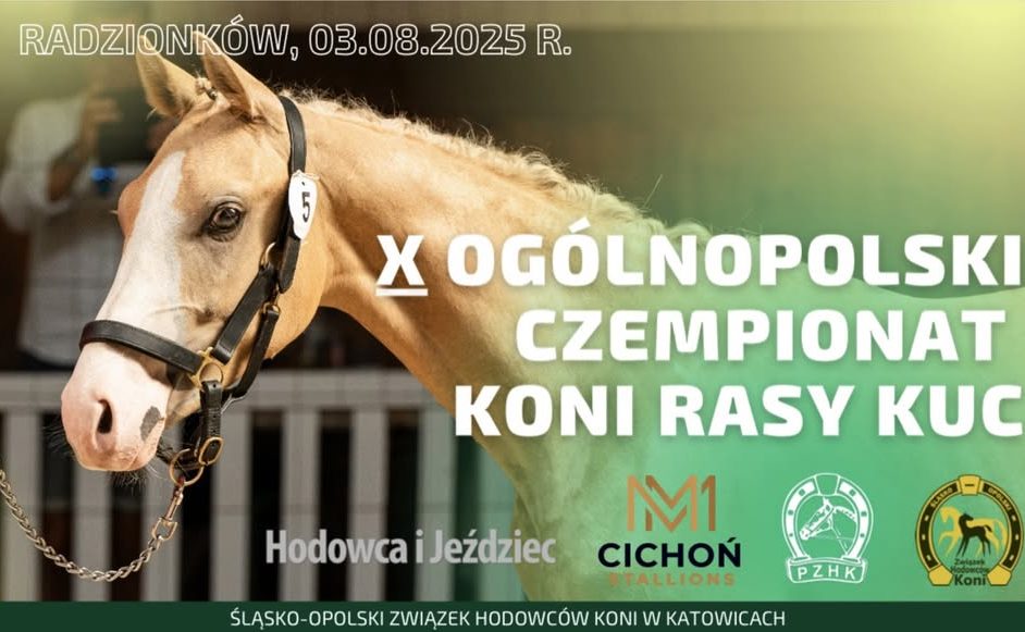 Konie szlachetne