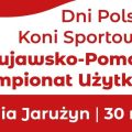 Konie szlachetne