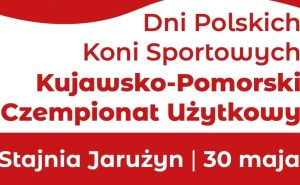 Konie szlachetne