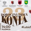 Konie szlachetne