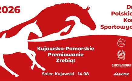 Konie szlachetne