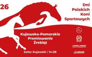 Konie szlachetne