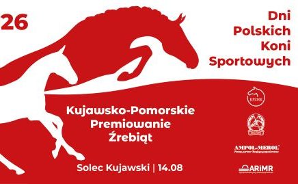Konie szlachetne